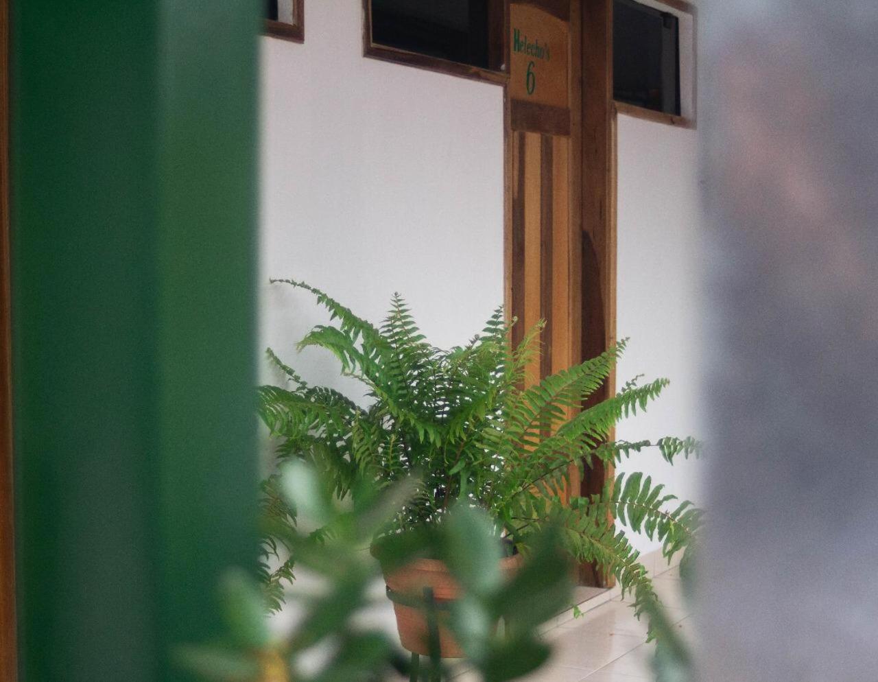 Helecho'S Hostal Hostel Encarnacion Luaran gambar