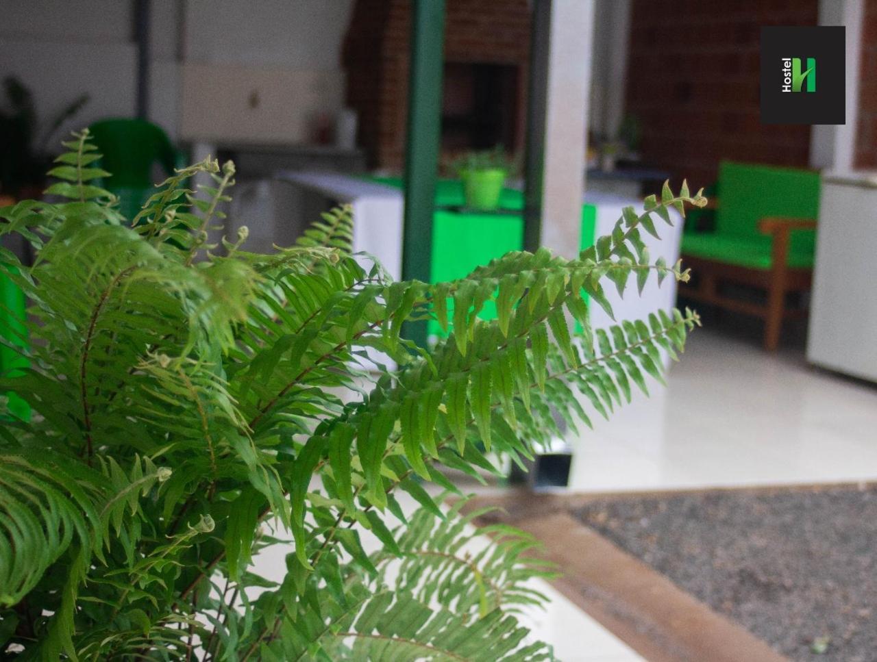 Helecho'S Hostal Hostel Encarnacion Luaran gambar